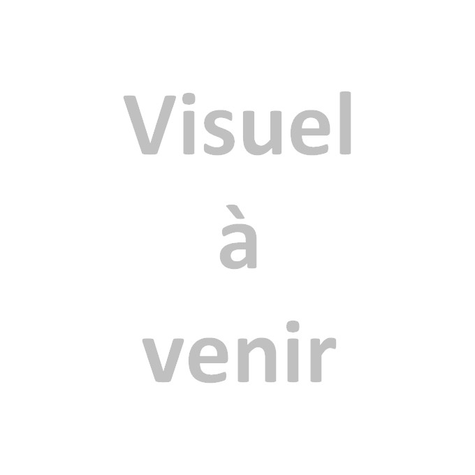 Fioul ordinaire par Coop Energies